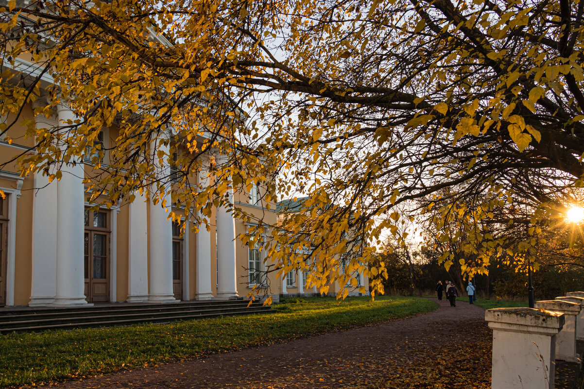 усадьба Александрино - navalon M усадьба Александрино - navalon M