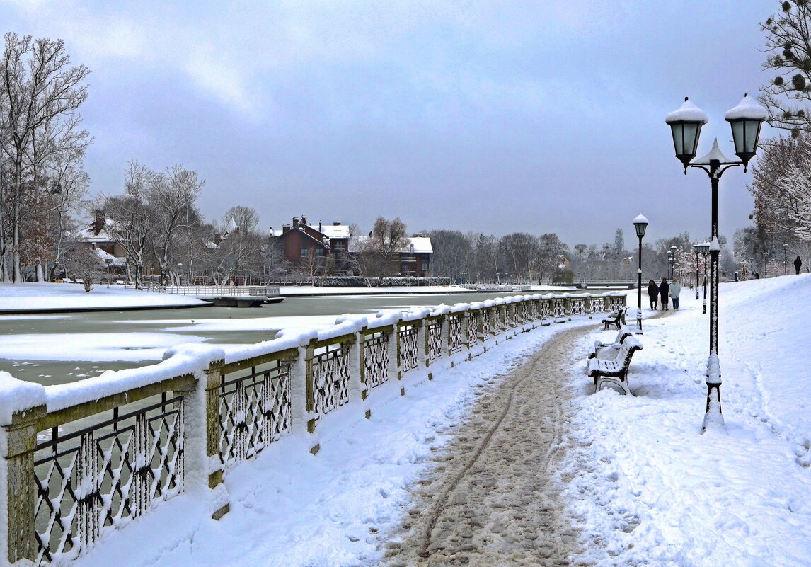 Вдоль пруда по первому мокрому снегу - Сергей Карачин