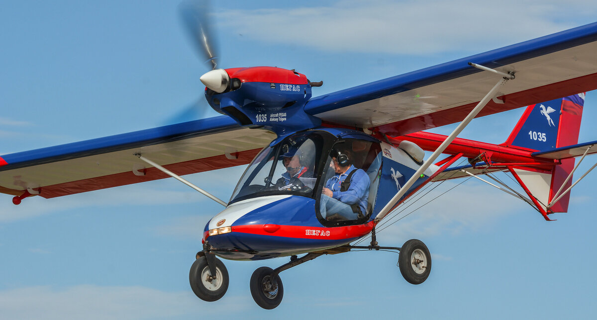 Пегас. - Сергей Воротников