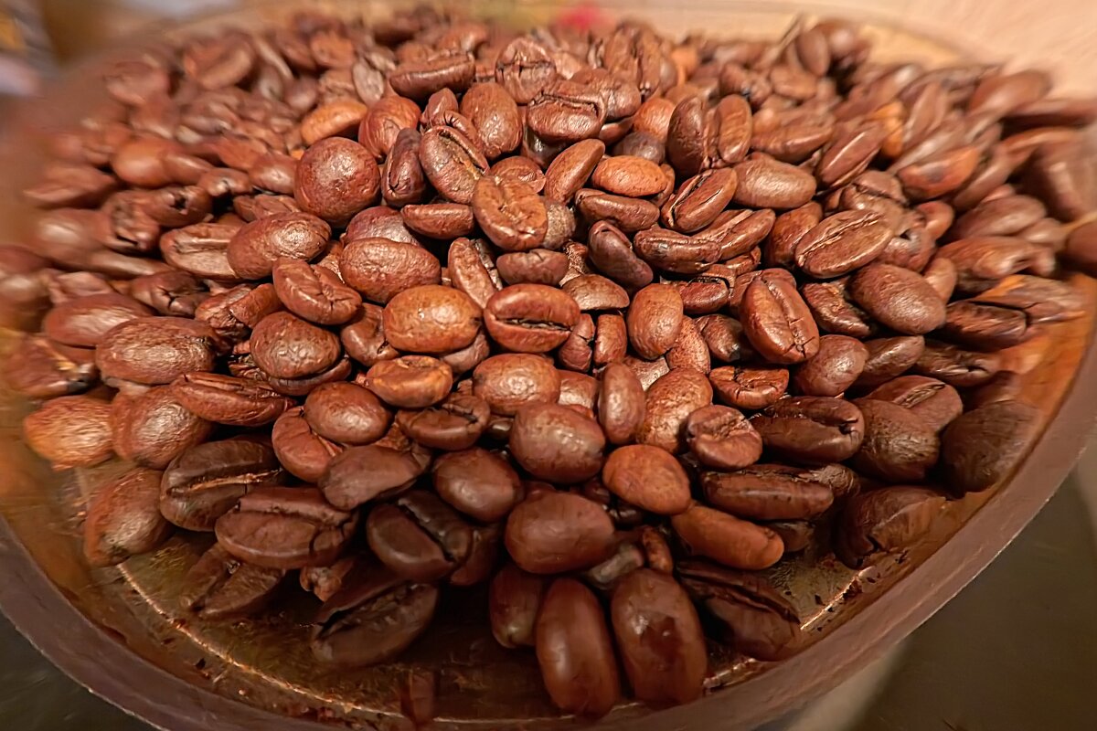 Скоро на вес золота - Лютый Дровосек Скоро на вес золота - Лютый Дровосек