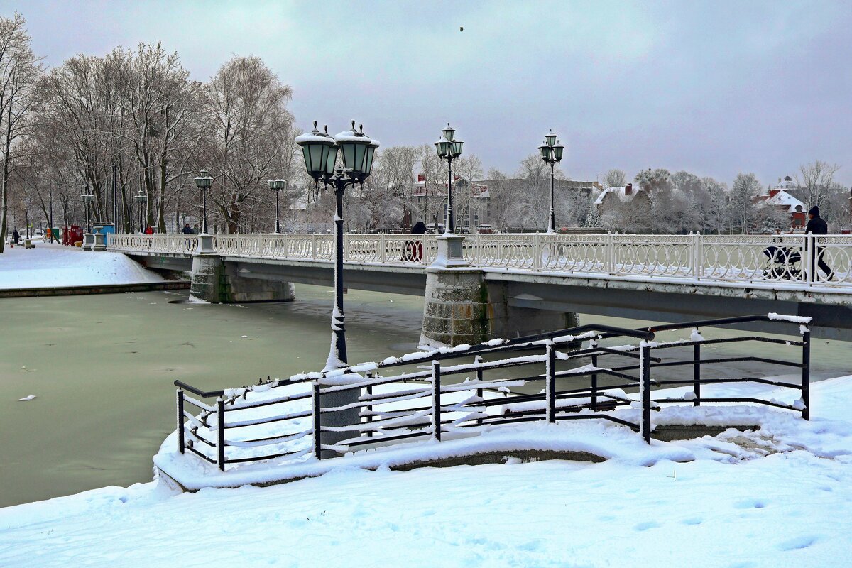 Лебяжий мост - Сергей Карачин