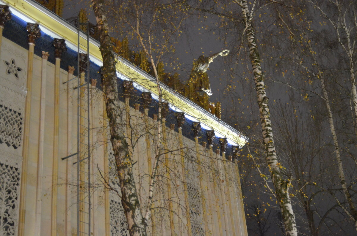 Советская архитектура. ВДНХ. - Наталья Вязигина