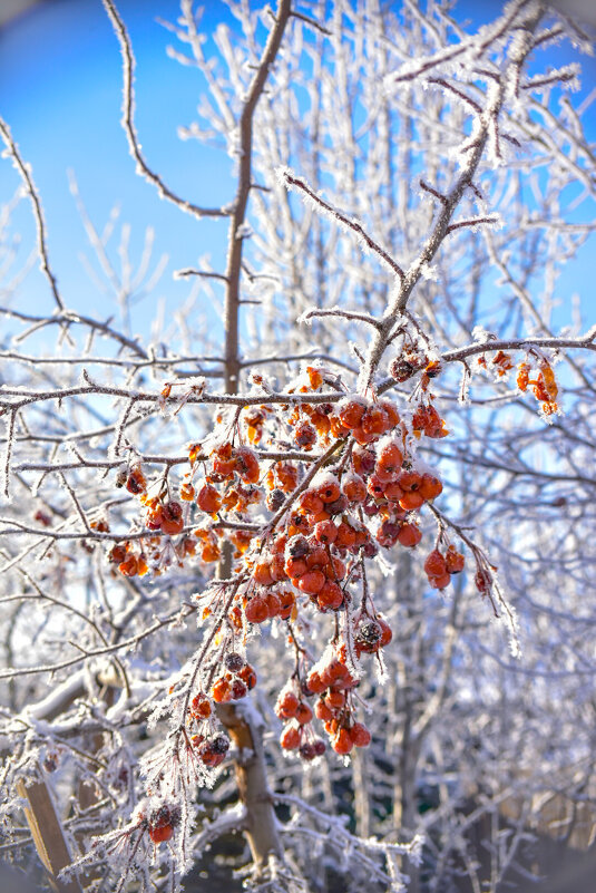 Зима - Grishkov S.M.