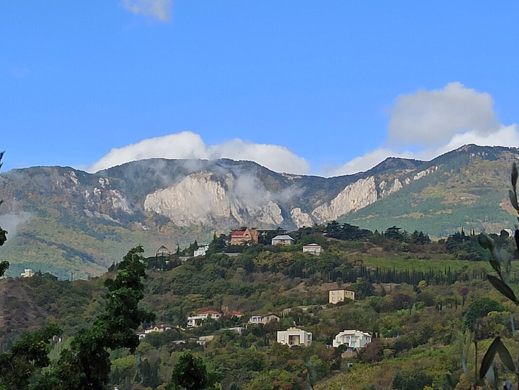 Южный берег Крыма - Галина 