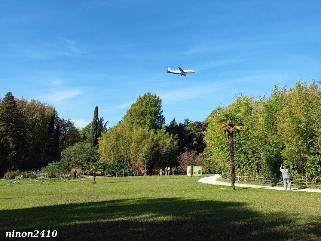 Адлер. Дендропарк "Южные культуры" - Нина Бутко