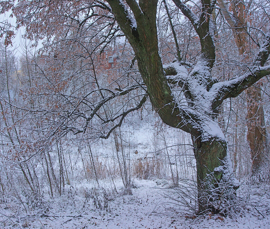 *** - Сергей Григорьев