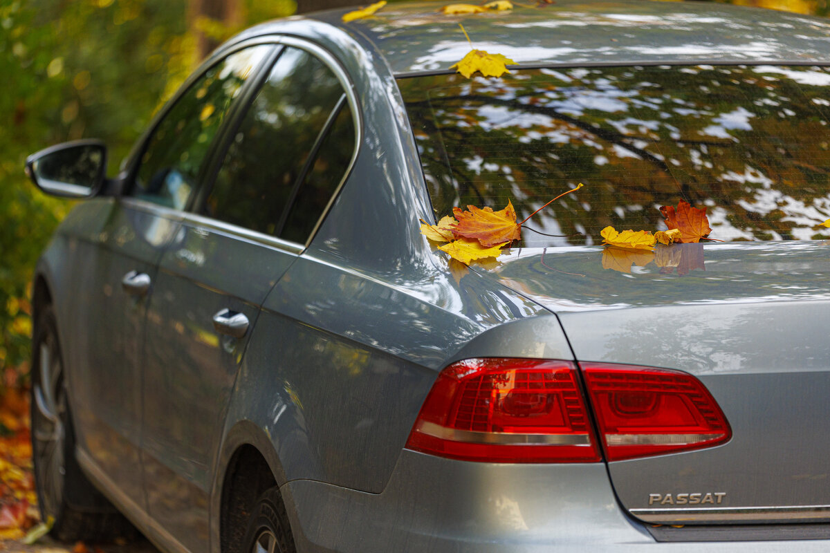 Прощай, осень! - Светлана Тихонина