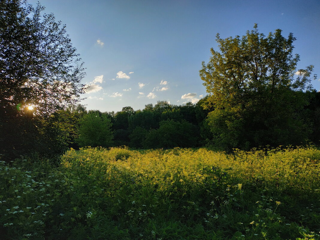 Ну и что - плохо было? - Андрей Лукьянов