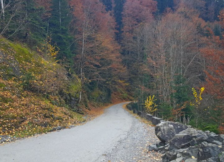 Абхазия - Tata Wolf