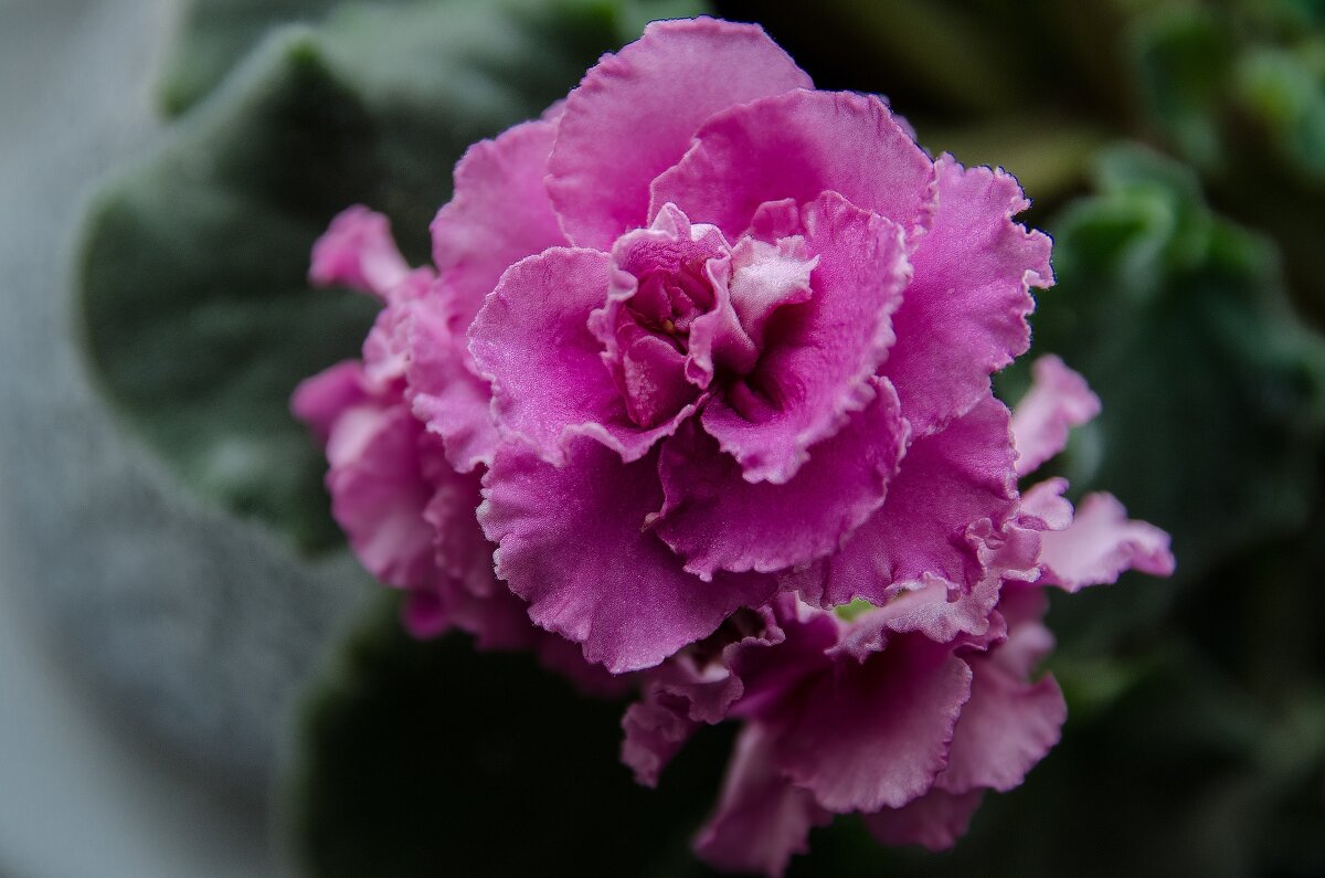 *** - Виктор Иванович Чернюк *** - Виктор Иванович Чернюк