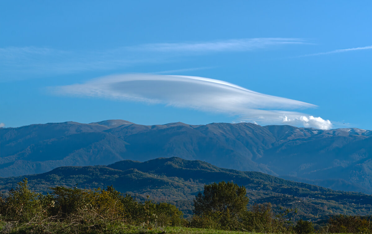 **** - Viktor Makarov