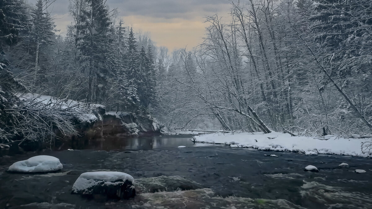 Сибирская тайга - Aleksey Afonin