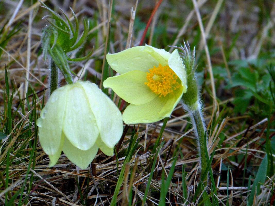 Я пригласить хочу на танец вас... - nadyasilyuk Вознюк Я пригласить хочу на танец вас... - nadyasilyuk Вознюк