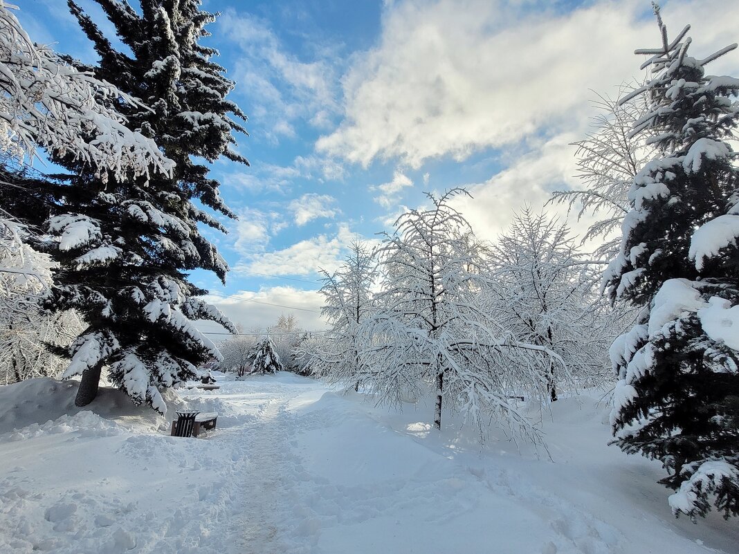 Ноябрьским днем - Галина Нестратова