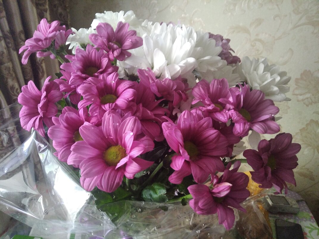 Букет из хризантем - Елена Семигина Букет из хризантем - Елена Семигина