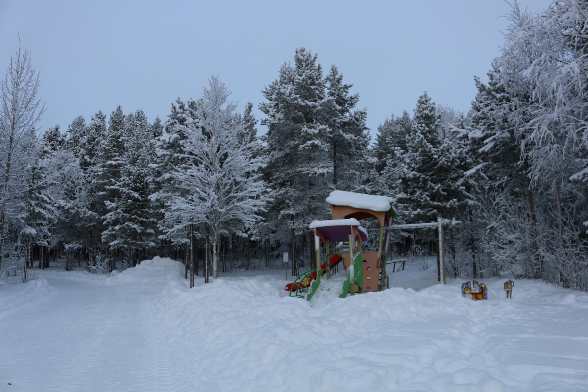 Прогулки по зимнему лесу - Ольга 