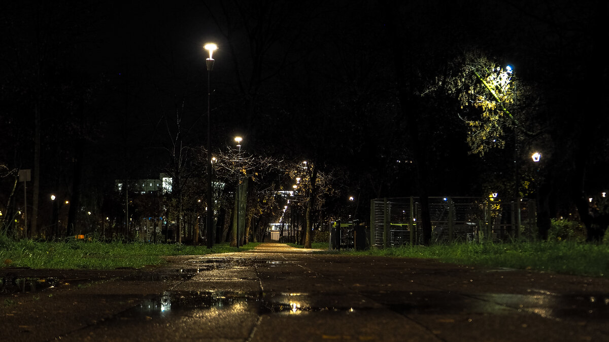 Осенний Вечер в Городе - юрий поляков