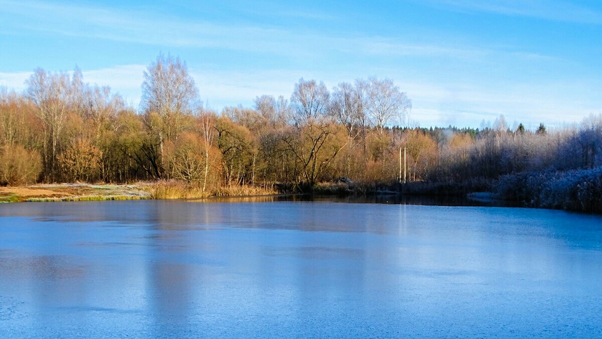 О минувшем ноябре. - Милешкин Владимир Алексеевич О минувшем ноябре. - Милешкин Владимир Алексеевич