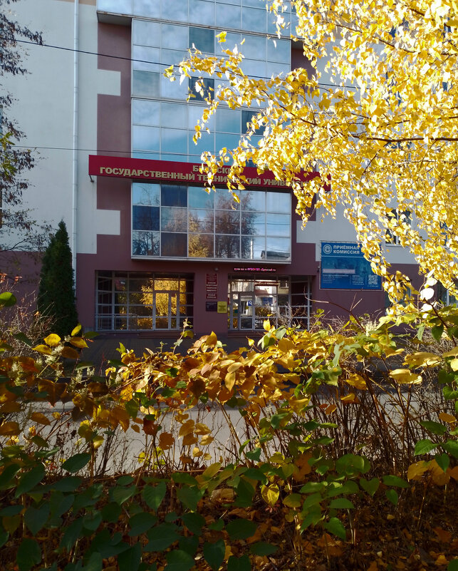 *** - Валентина Береснева