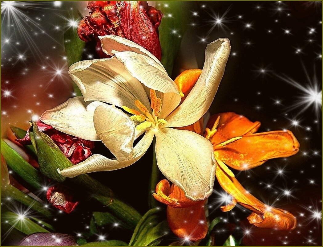 ***** - Валентина Надсон