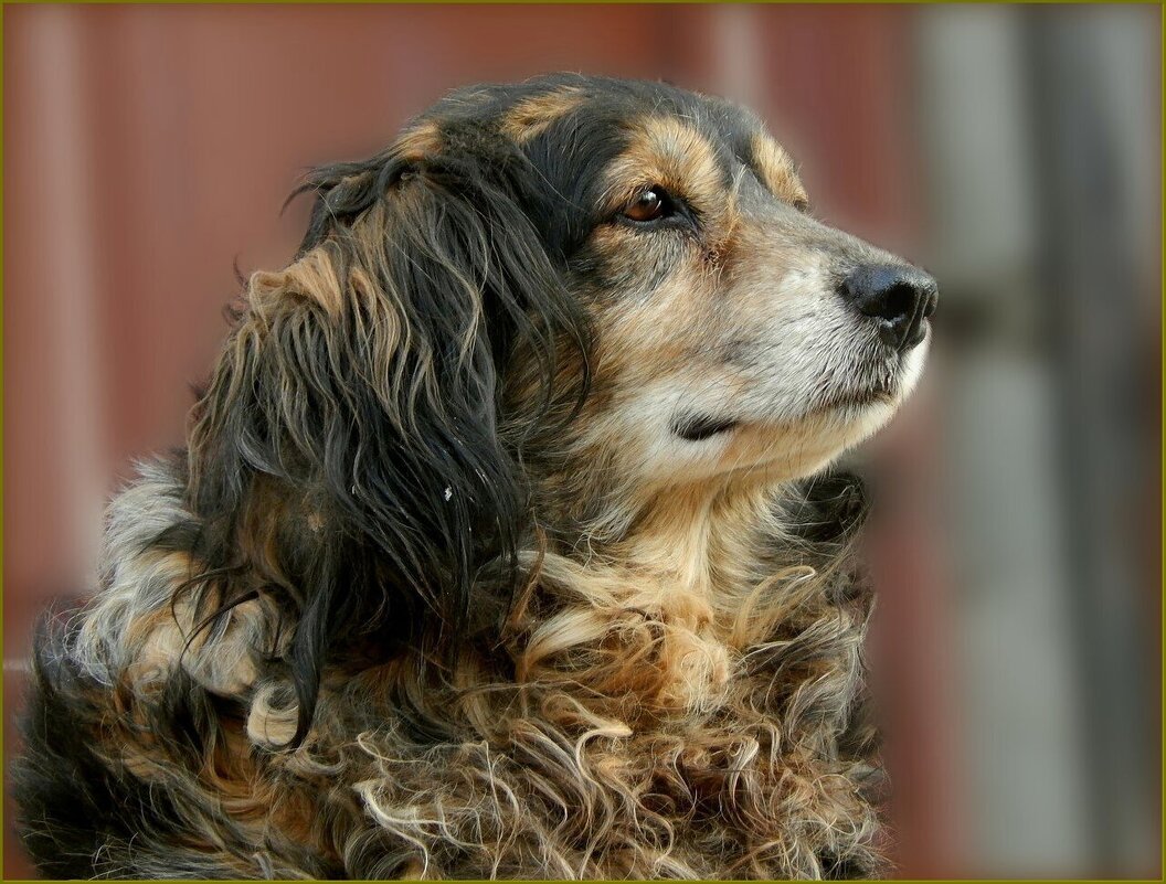 Задумался ... - Валентина Надсон Задумался ... - Валентина Надсон