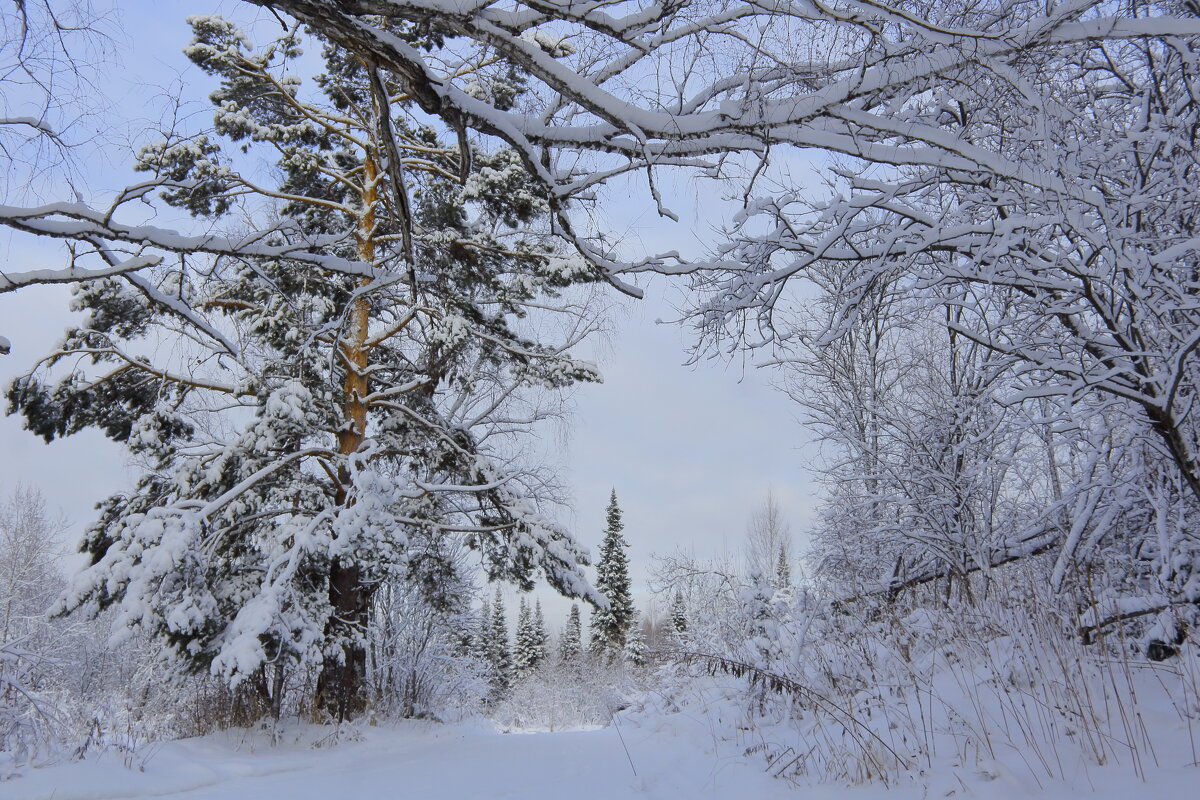 Зимний ералаш - Нина северянка Зимний ералаш - Нина северянка