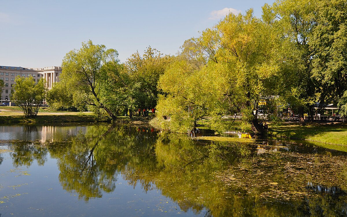 Вид на пруд от плотины Венера - Анатолий Колосов Вид на пруд от плотины Венера - Анатолий Колосов