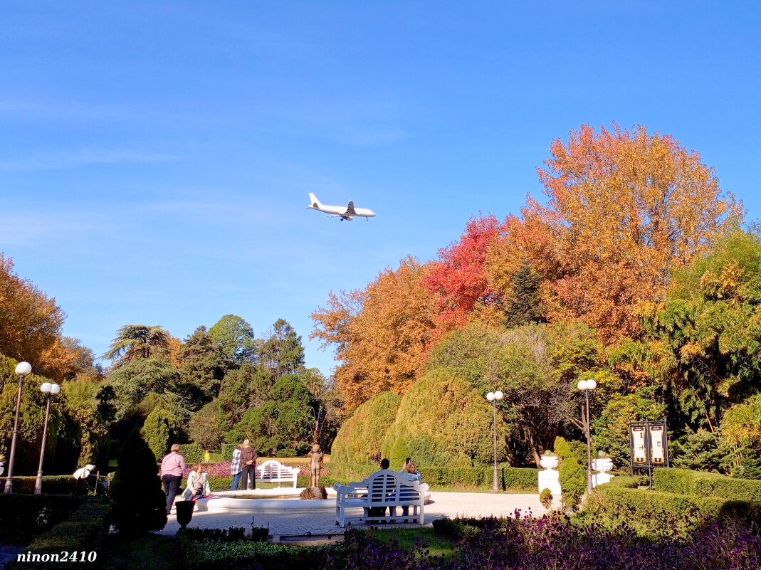 Адлер. Дендропарк "Южные культуры" - Нина Бутко Адлер. Дендропарк "Южные культуры" - Нина Бутко