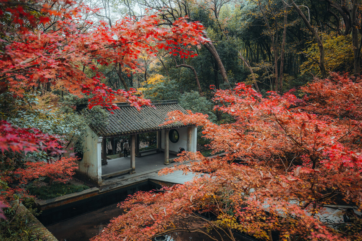 Парк "Источник Хупао," или "Источник тигра" - Дмитрий Парк "Источник Хупао," или "Источник тигра" - Дмитрий