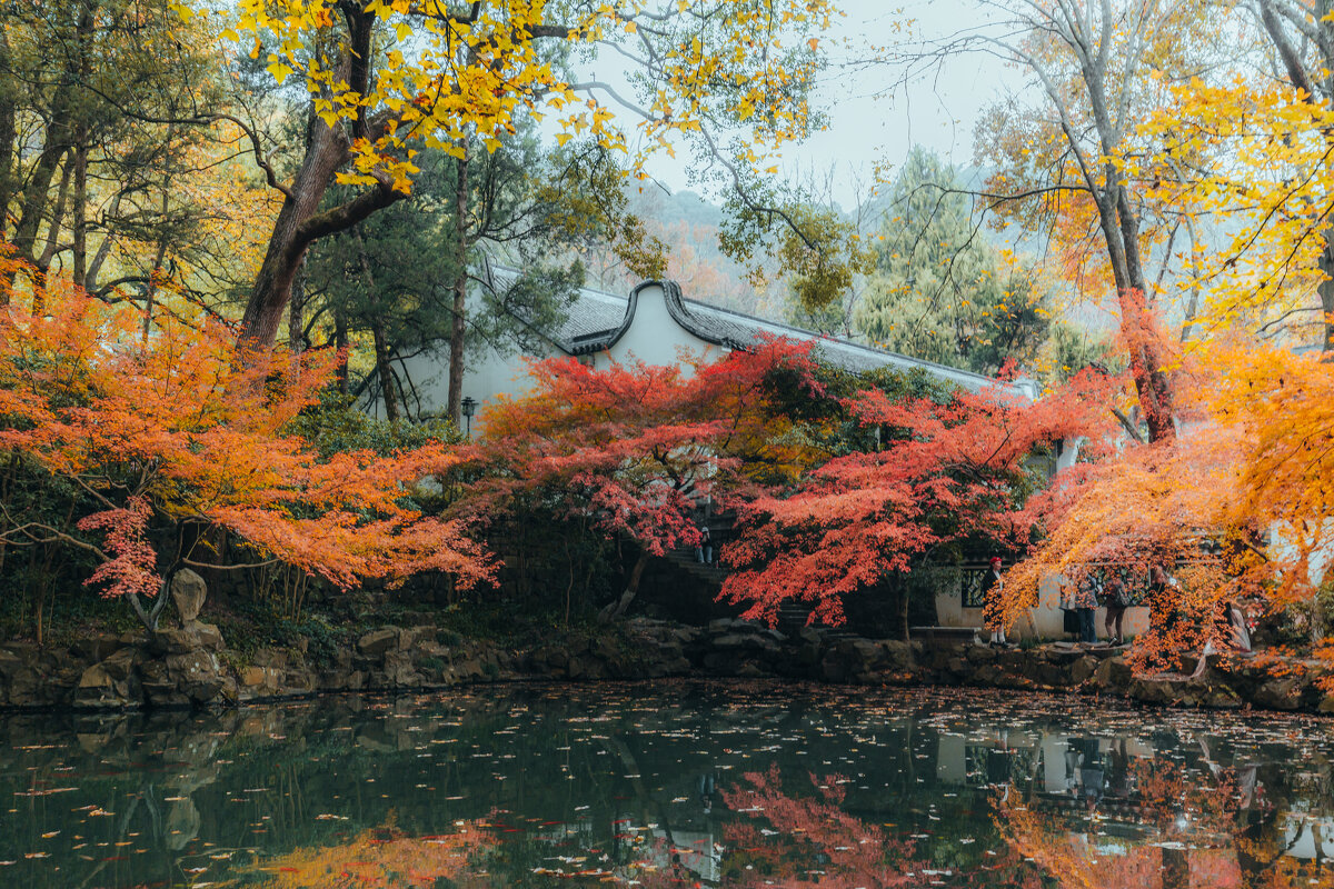 Парк "Источник Хупао," или "Источник тигра" - Дмитрий Парк "Источник Хупао," или "Источник тигра" - Дмитрий