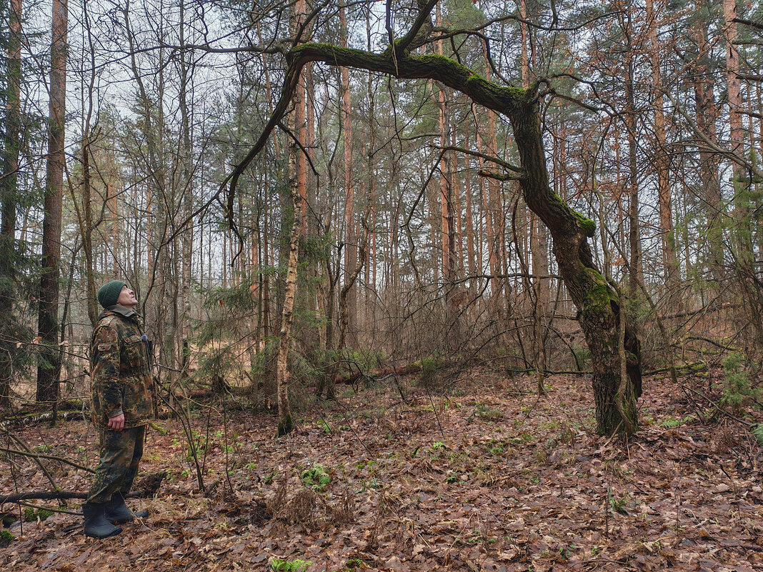 *** - Денис Бочкарёв