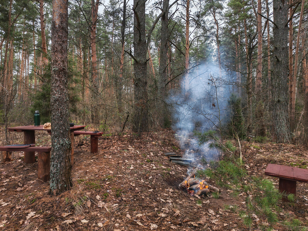 Костёр - Денис Бочкарёв