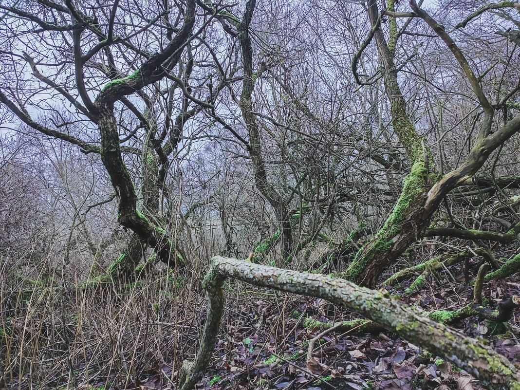 А ведь раньше тут была деревня Тарасова - Sergei Vikulov А ведь раньше тут была деревня Тарасова - Sergei Vikulov