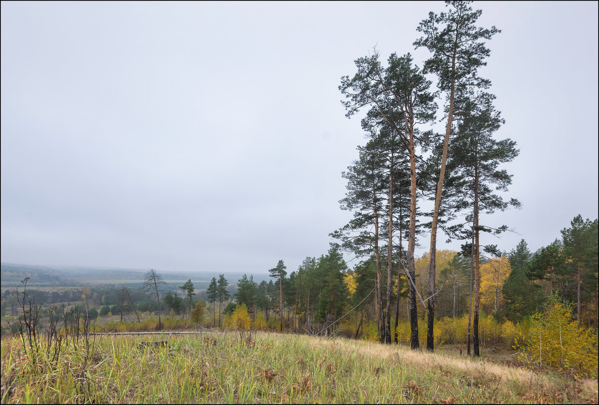 Осень - **** vedin
