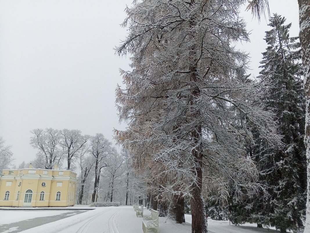 Осень - Сапсан 