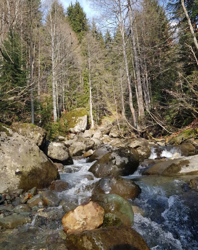 Абхазия - Tata Wolf