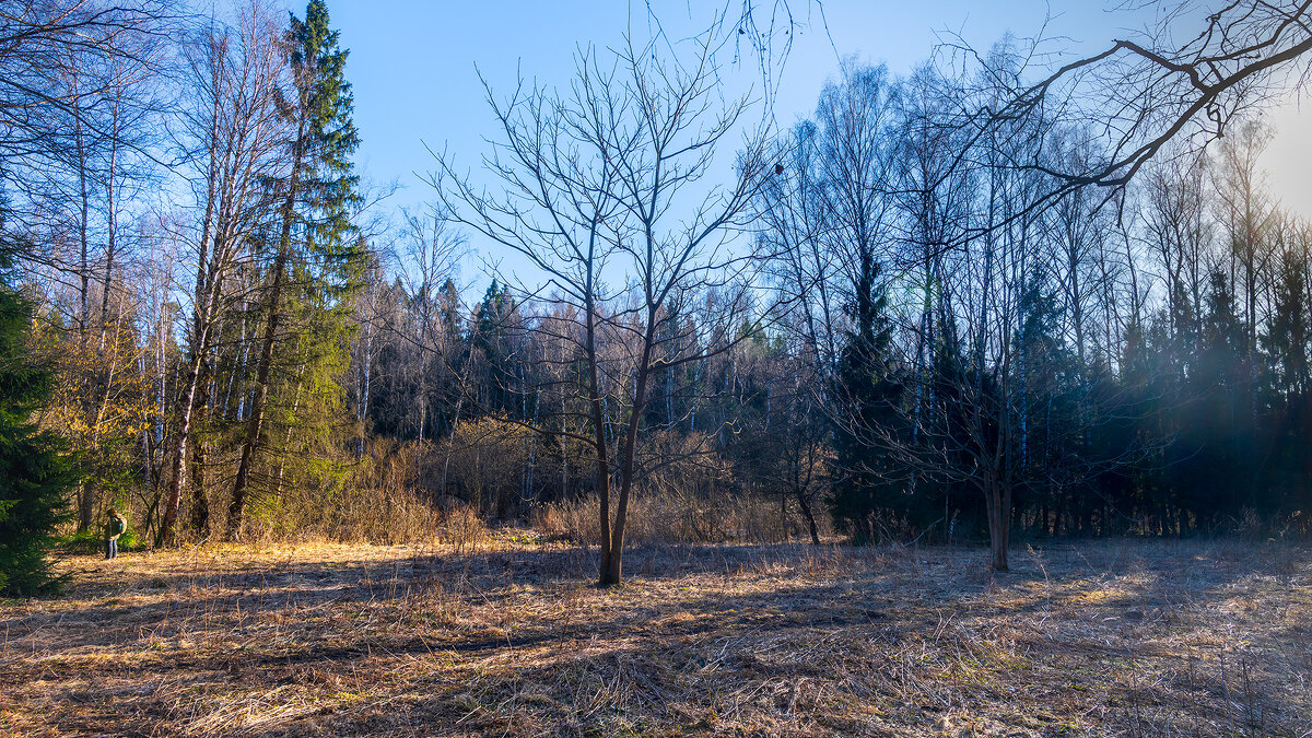Весна - Владимир Лазарев