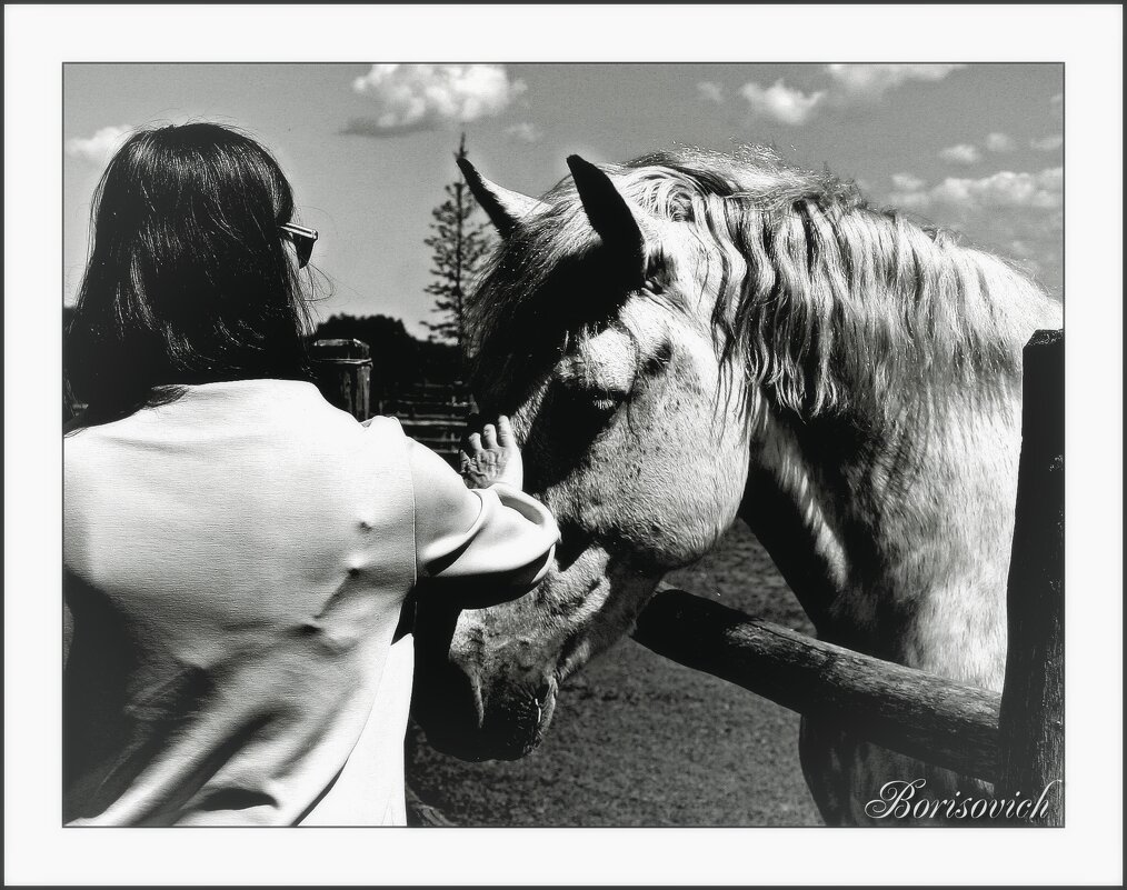 Верный - Denis Lipatov