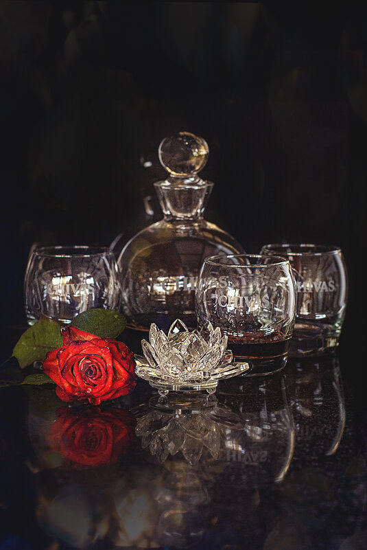 * - Svetlana Galvez * - Svetlana Galvez