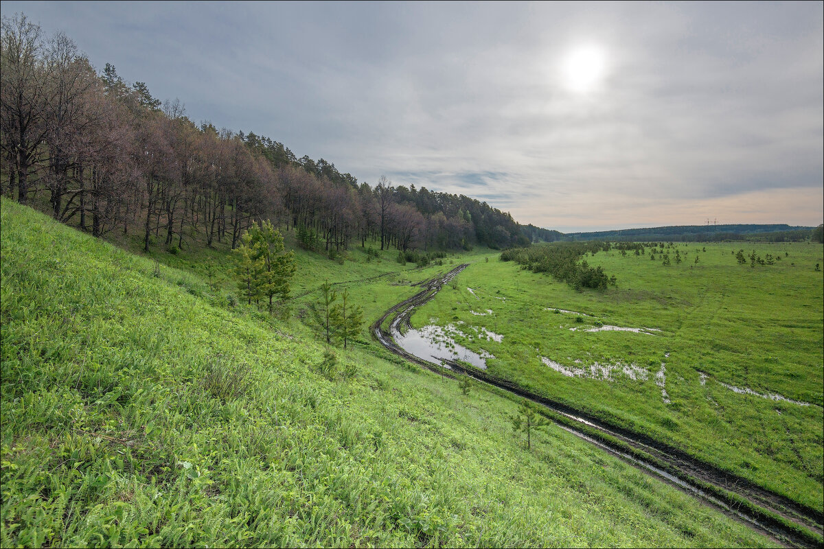 Проселок - **** vedin Проселок - **** vedin