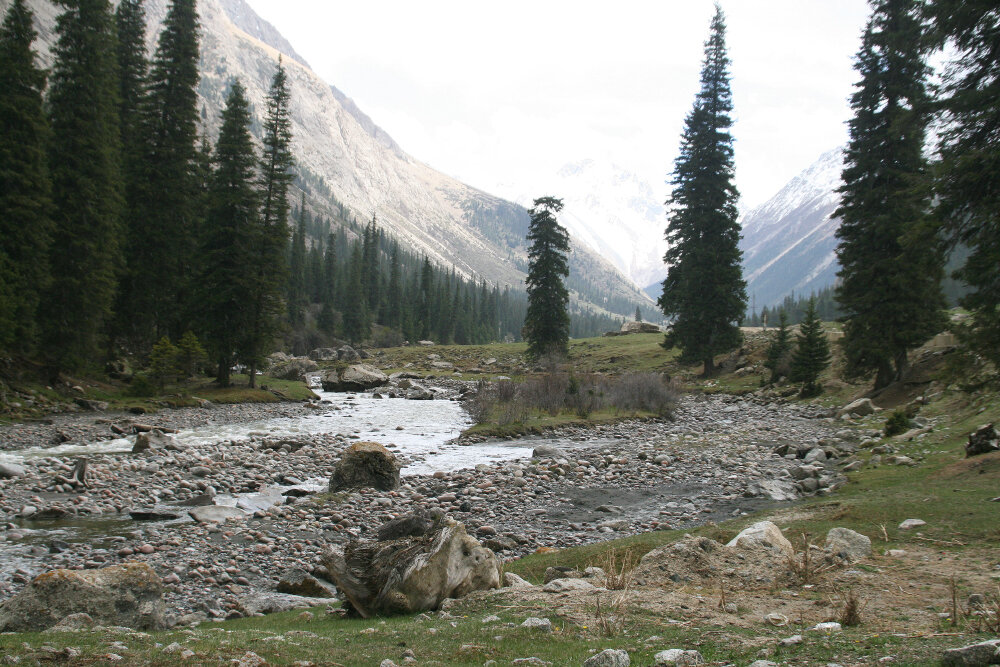 Красота горных речек - Галина Ильясова