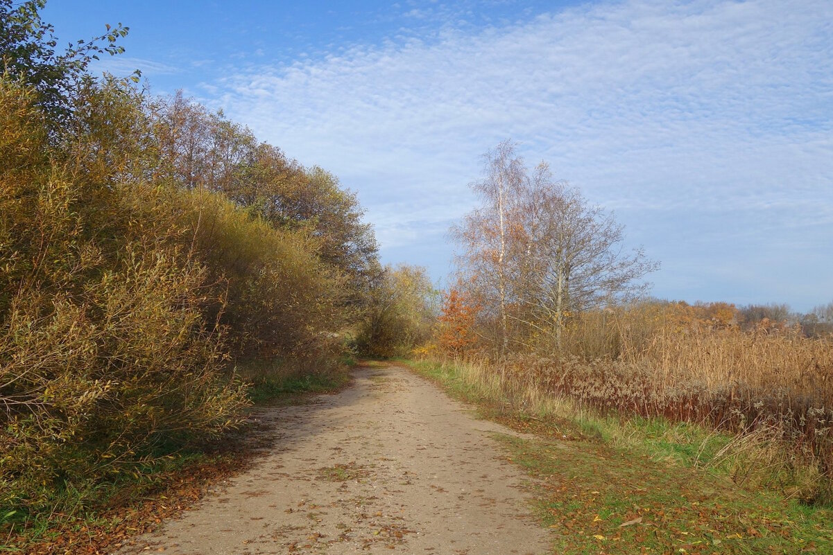Осенний пейзаж - Рита Симонова