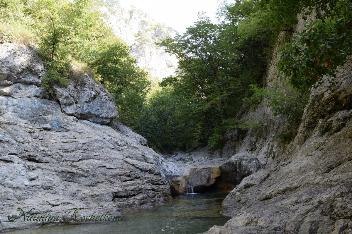 Природа Крыма - Amazing Cosmea