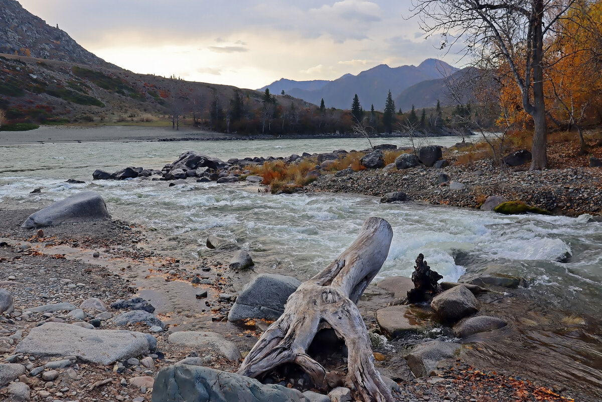 Слияние Катуни и Ильгумень - елена беликова Слияние Катуни и Ильгумень - елена беликова
