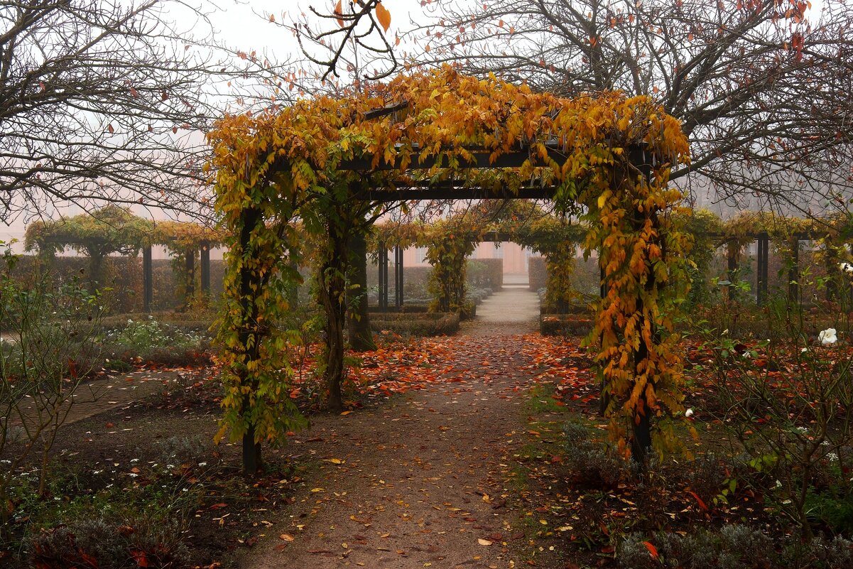 Осень- это все цвета светофора в одном парке - Юрий. Шмаков