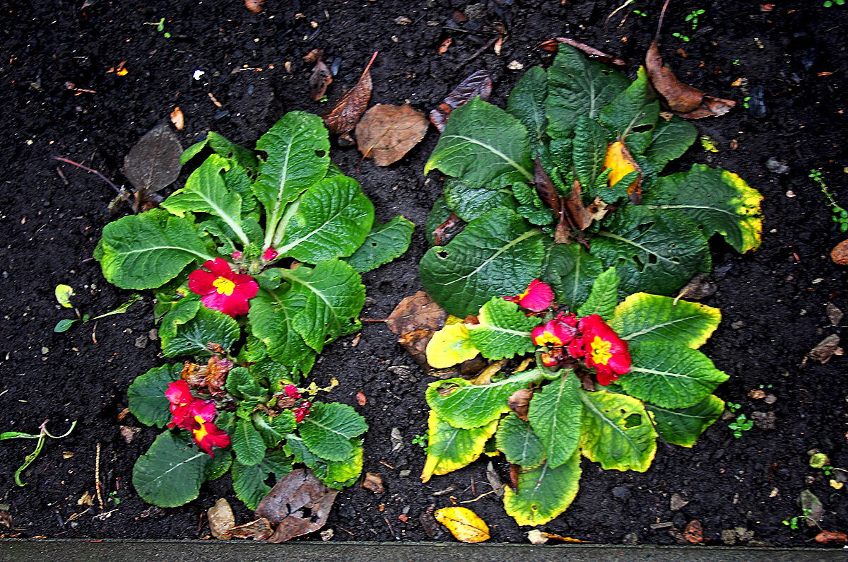 8 декабря 2025 года в Самаре . Триптих. Часть 3. - MILAV V