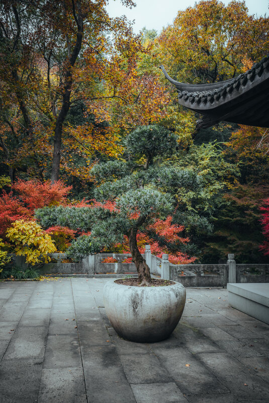 Осень в парке - Дмитрий 