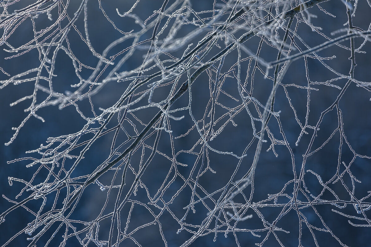 **** - Елизавета .