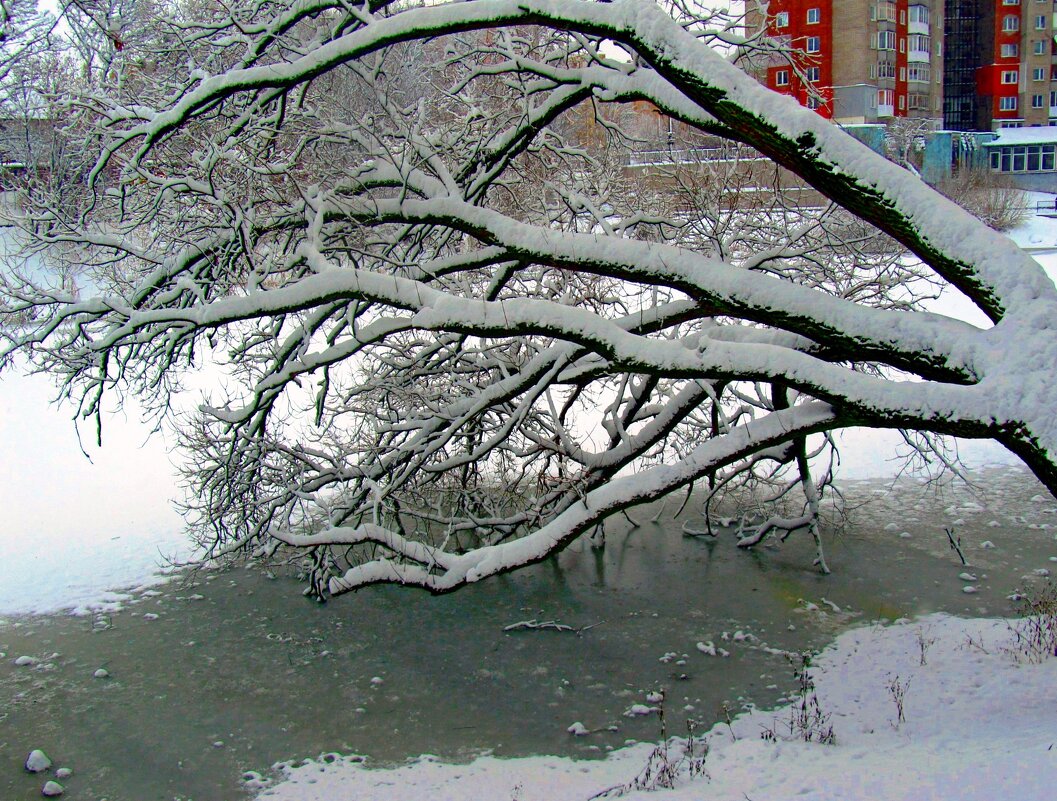 Над проталиной - Сергей Карачин