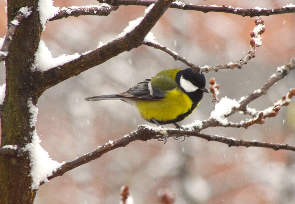 ... - Юрий Куликов